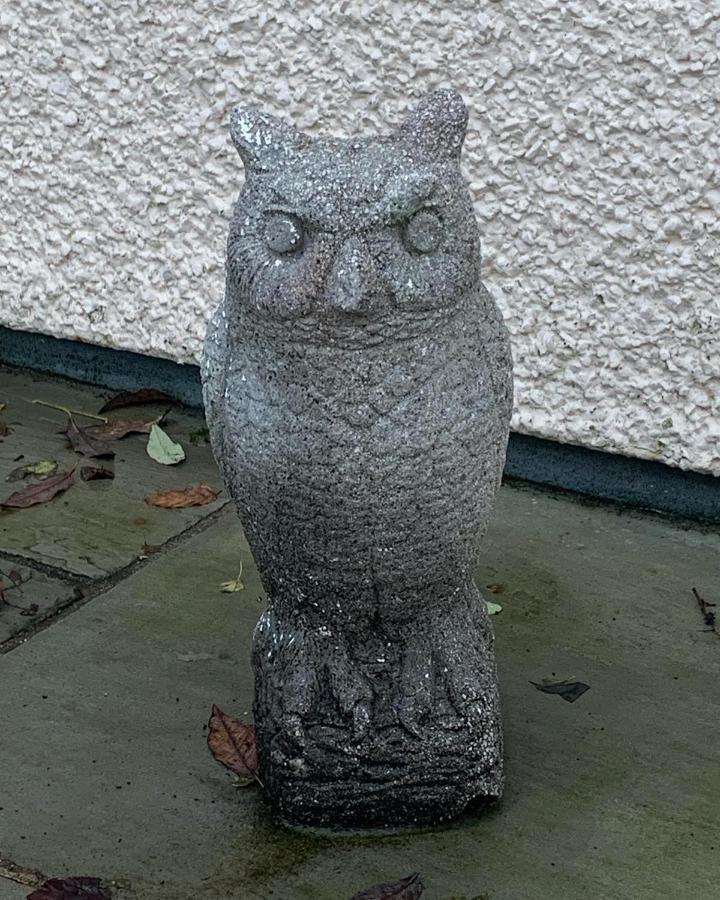 Owlswood Apartments Edinbane Екстериор снимка